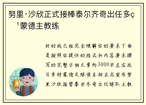 努里·沙欣正式接棒泰尔齐奇出任多特蒙德主教练